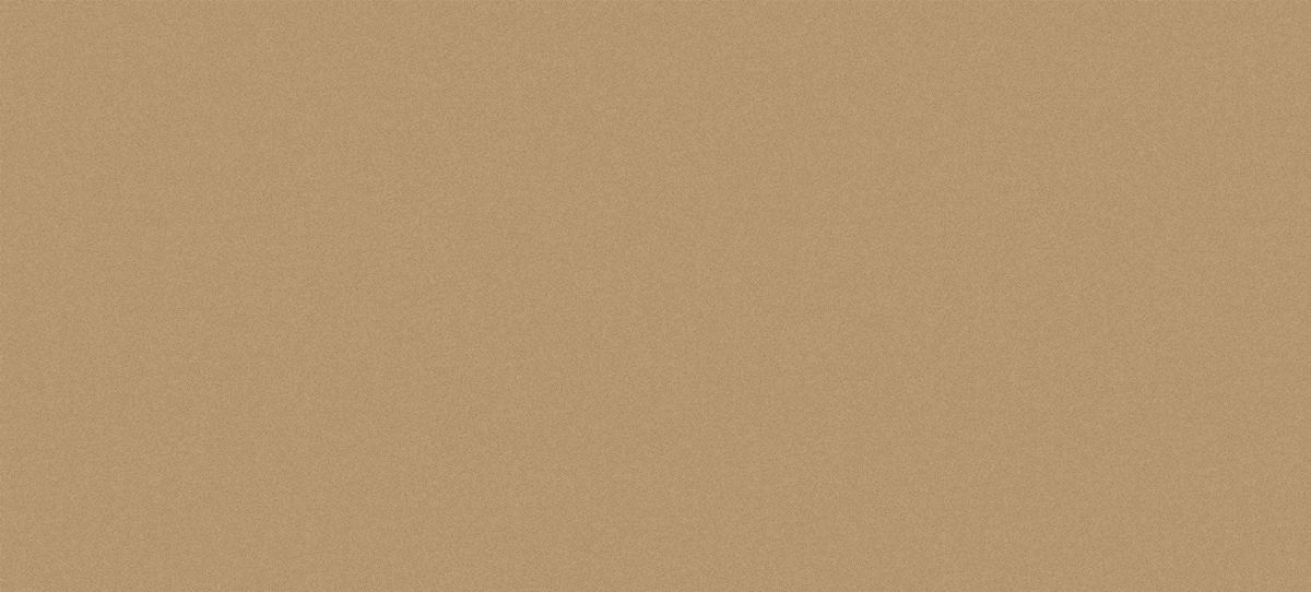 Ginfer Tan