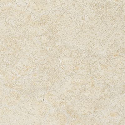Seashell Limestone